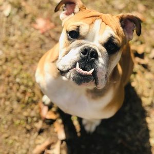 Meet your Posher, Annie